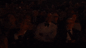 GIF by Latin GRAMMYs