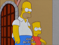 homer simpson what GIF