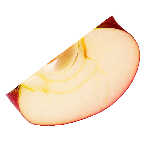 Schreiner Sticker by Unerwartet Design