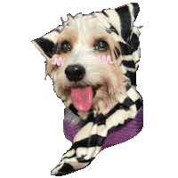 Happy Dog Sticker