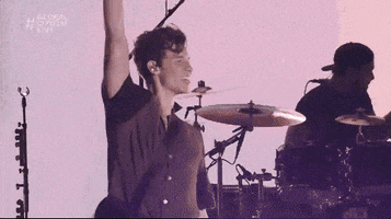 Shawn Mendes GIF by Global Citizen