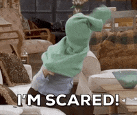 Season 3 Episode 22 GIF by Friends