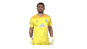 Stefanos Kapino Bundesliga Sticker by SV Werder Bremen