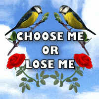 Pick Me Red Roses GIF