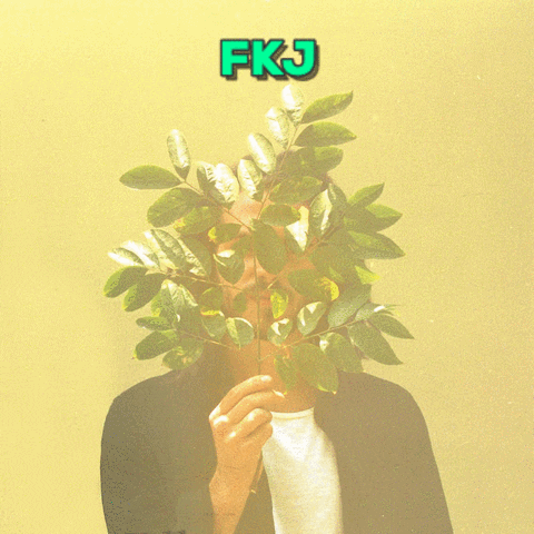 french kiwi juice GIF by Webster Hall