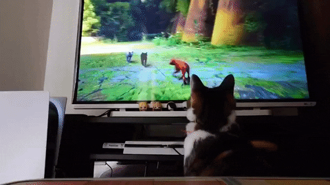 timoff91 giphyupload GIF