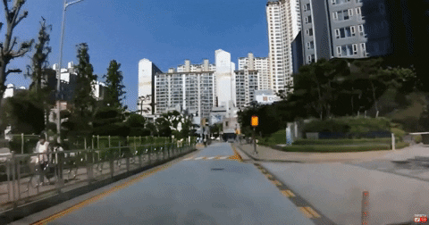 seotor_7 giphyupload GIF