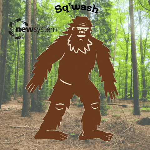 NewSystemLaundry giphyupload GIF