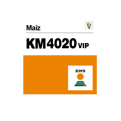 Agro Campo Sticker by KWS Brasil