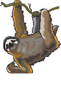 SAZOO sloth sloths san antonio zoo sazoo Sticker
