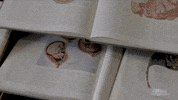 Art Animation GIF by Alex Boya