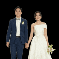 Estay GIF
