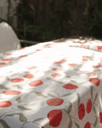 Ayfidela  GIF