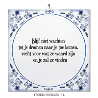 Nl Hoop Sticker by Tegelspreuken.nl
