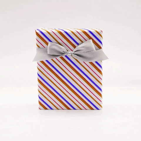 tbianchini giphygifmaker GIF