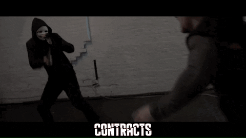 Martial Arts Fight GIF by Indiecan Entertainment Inc.