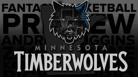 minnesota timberwolves GIF