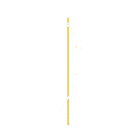 Fitness Pull Up Sticker by Heim CrossFit