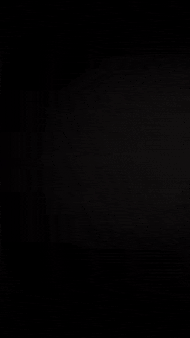 Merry Christmas GIF by Bernardson