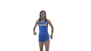Track And Field Sticker by Delaware Blue Hens