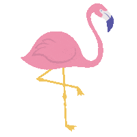 Best Friends Sticker by Little Stars Leotards