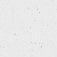 animation bird GIF