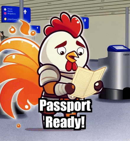 International Travel GIF by Zorooster