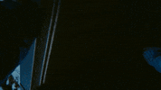 Santa Monica GIF by Aries