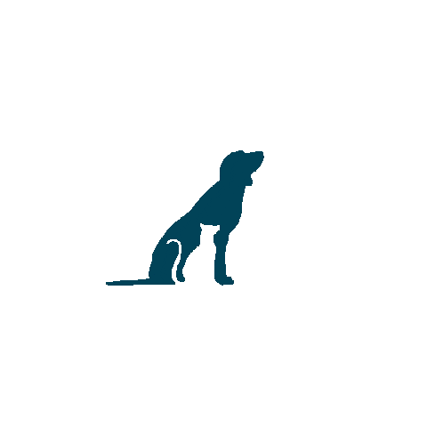 ARLofBerksco giphyupload arl berks county animal rescue league Sticker
