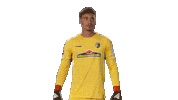 come on please Sticker by Bundesliga