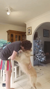 Service Dog Comes to Aid of Owner With Autism