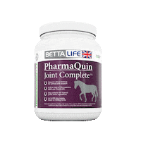 bettalife horse equestrian bettalife pharmaquin Sticker