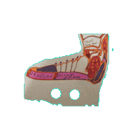Awesome Fun Sticker by A Reason To Feel