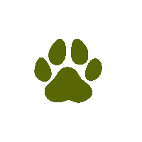 Dogs Paw Sticker by Macattack