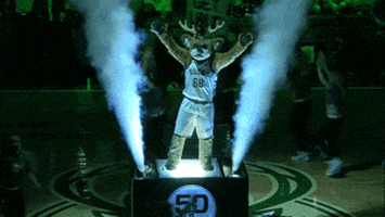 lets go mascot GIF by NBA