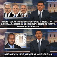 GIF by The Daily Show with Trevor Noah