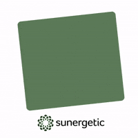 Suner GIF by Sunergetic