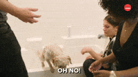 OH NO!