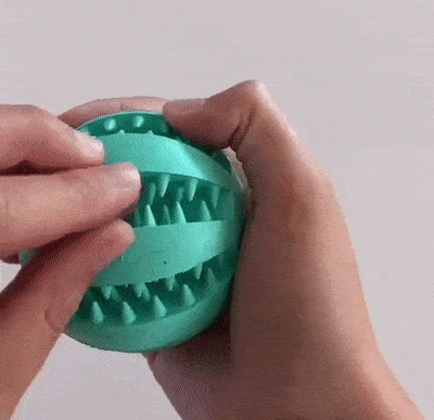 giphyupload GIF