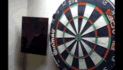 link darts GIF