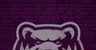 conway bearclawsup GIF by University of Central Arkansas