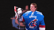 hair flick GIF by Newcastle Northstars