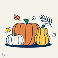 Fall Thanksgiving GIF by Snap Finance