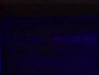 goon datura GIF by Partisan Records