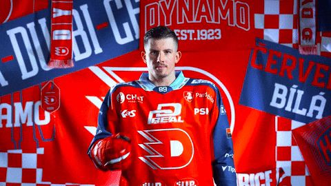 Hockeytown GIF by HC Dynamo Pardubice