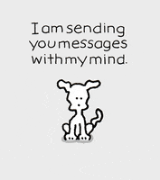 I Love You Heart GIF by Chippy the Dog