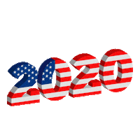 Election 2020 Trump Sticker by Clarín