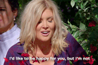 thebachelorau the bachelor au the bachelor australia GIF
