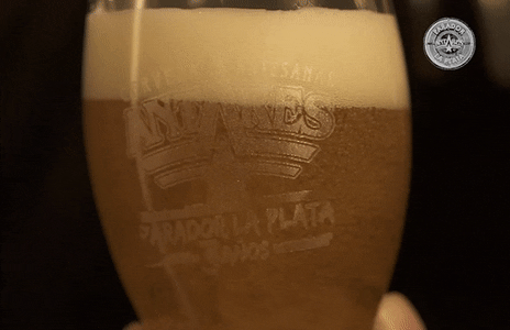antareslaplata giphyupload cheers cerveza birra GIF