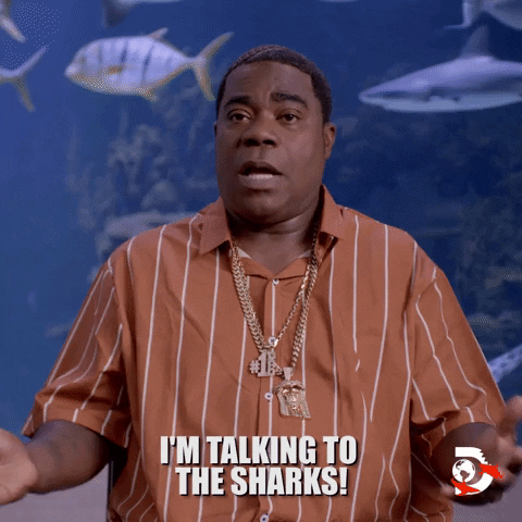 Comedy What GIF by Shark Week